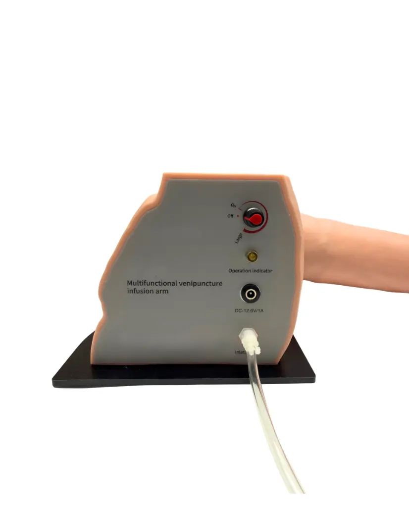 BRA-INY-PLUS (1).webp