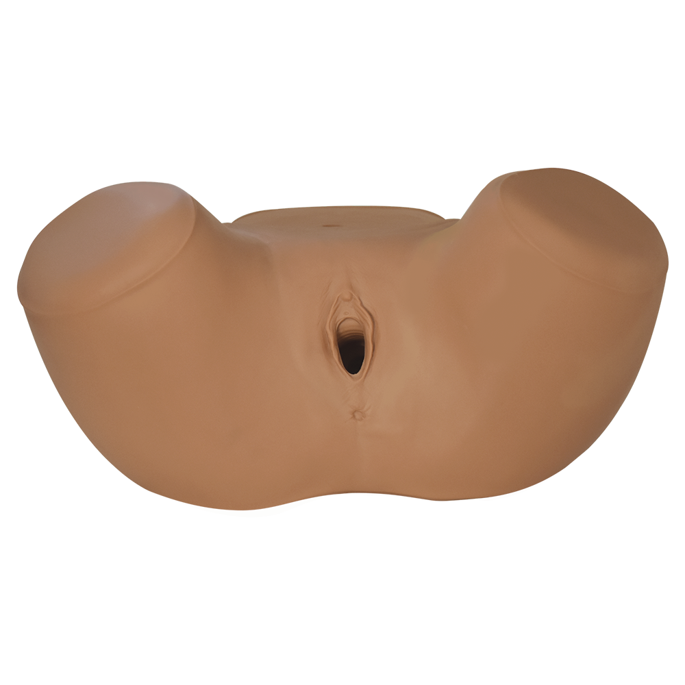 Simulador vaginal