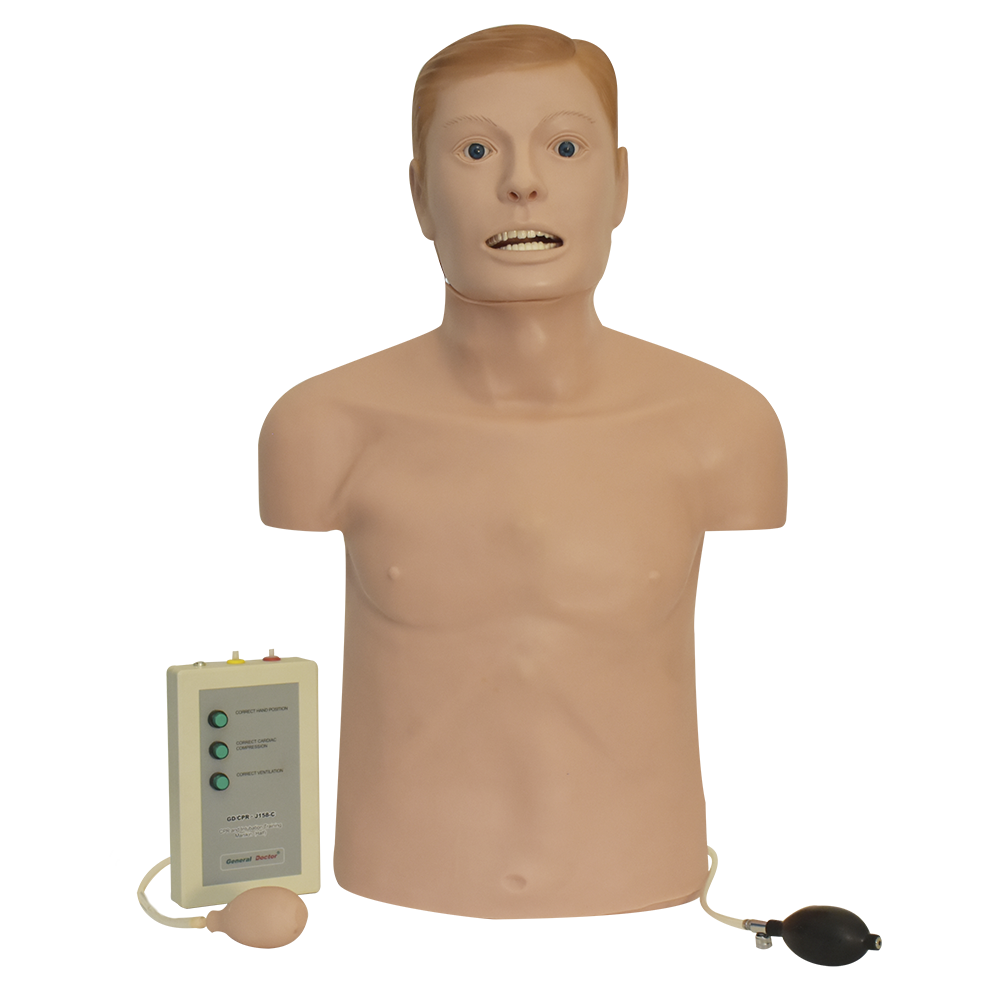 Torso de cpr e intubación