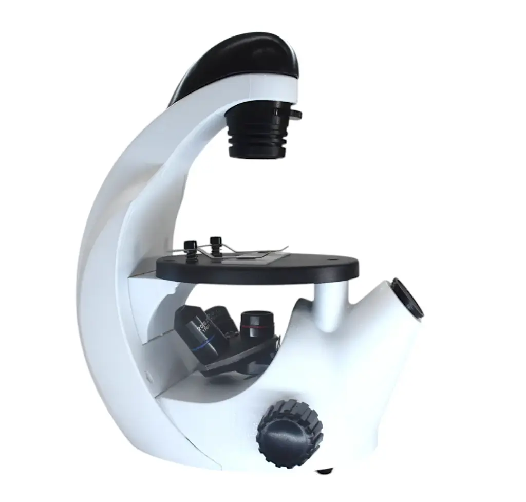 Microscopio biológico invertido infantil