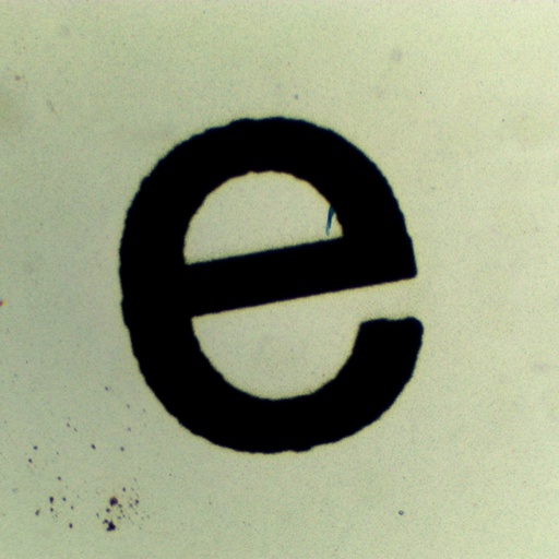 [PR-141] Preparación microscópica de letra "E"
