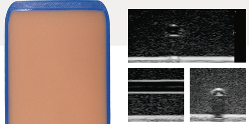 [ULTRA-VENOSO-F] Simulador de ultrasonido para acceso venoso guiado