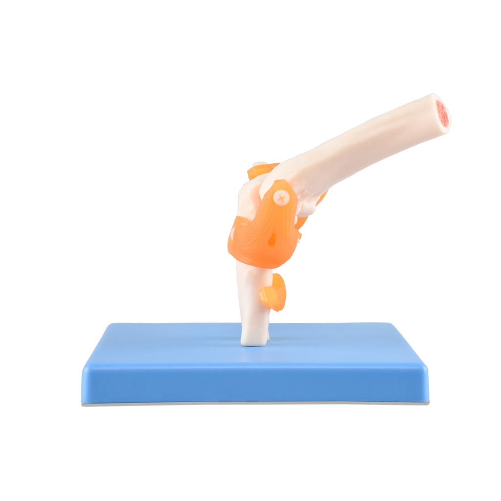 ART-CODO-PREMIUM 4_.jpg