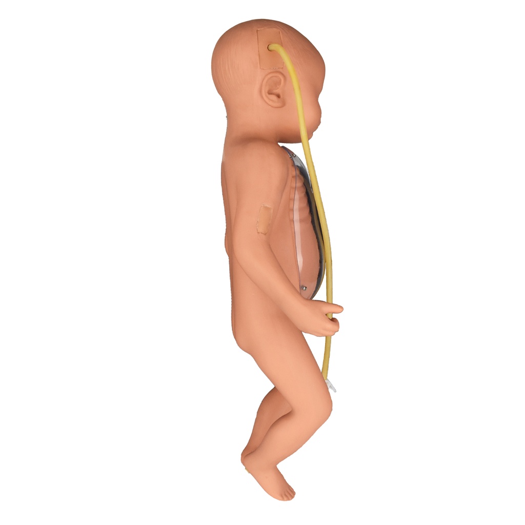 SIMULADOR AVANZADO NEONATAL DE INTUBACIÓN  VENOSA CENTRAL Y PERIFÉRICA