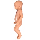 SIMULADOR AVANZADO NEONATAL DE INTUBACIÓN  VENOSA CENTRAL Y PERIFÉRICA