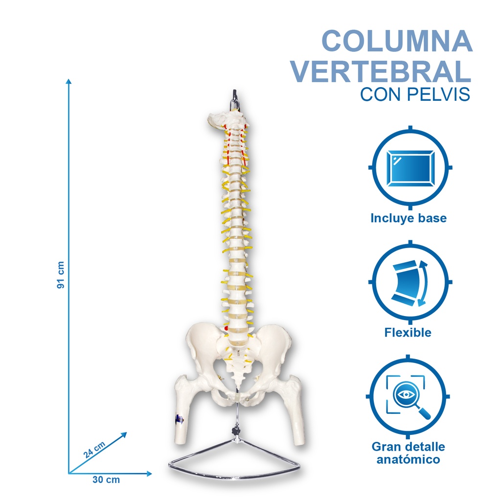 Copia de COL-FEM.jpg