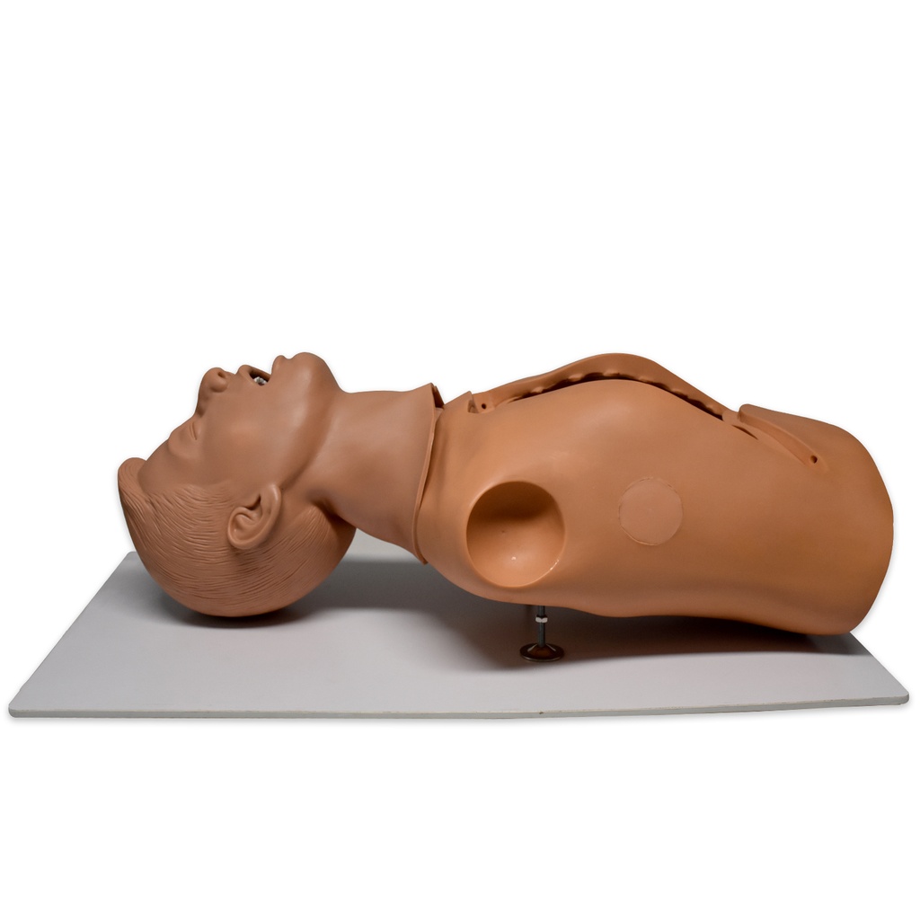 SIMULADOR PARA INTROSCOPIA DE BRONQUIOS