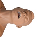 SIMULADOR PARA INTROSCOPIA DE BRONQUIOS