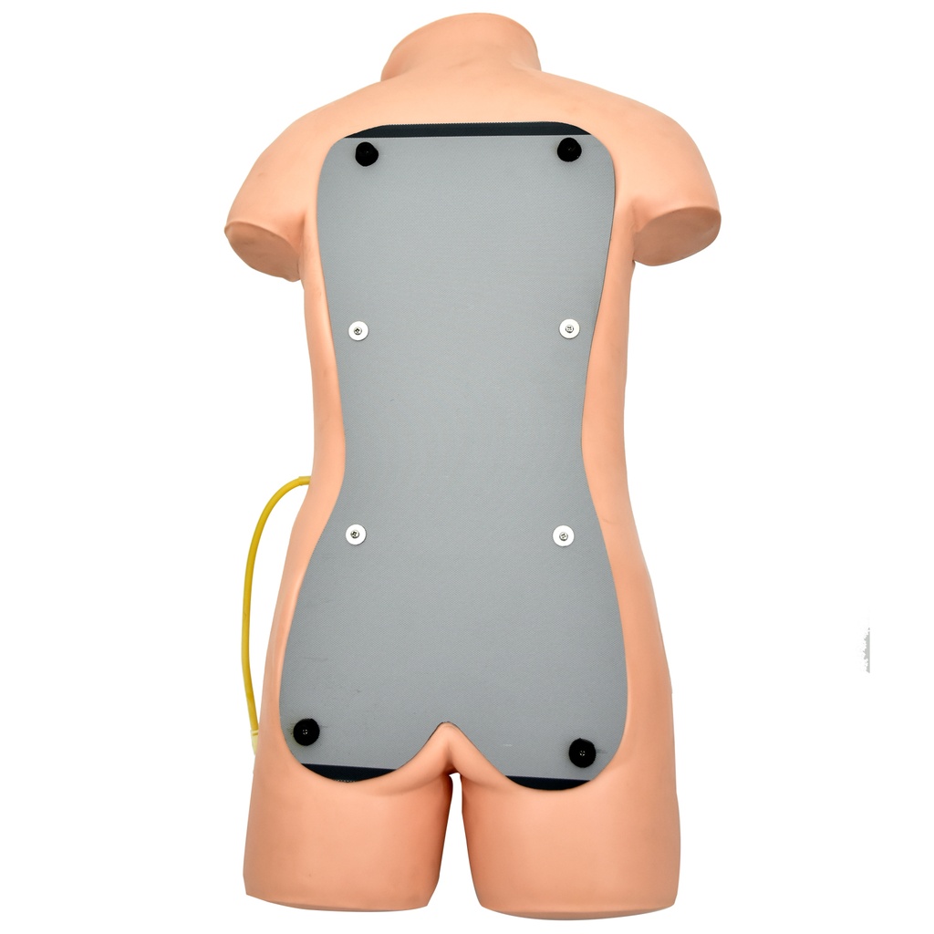 SIMULADOR DE ABDOMINOCENTESIS