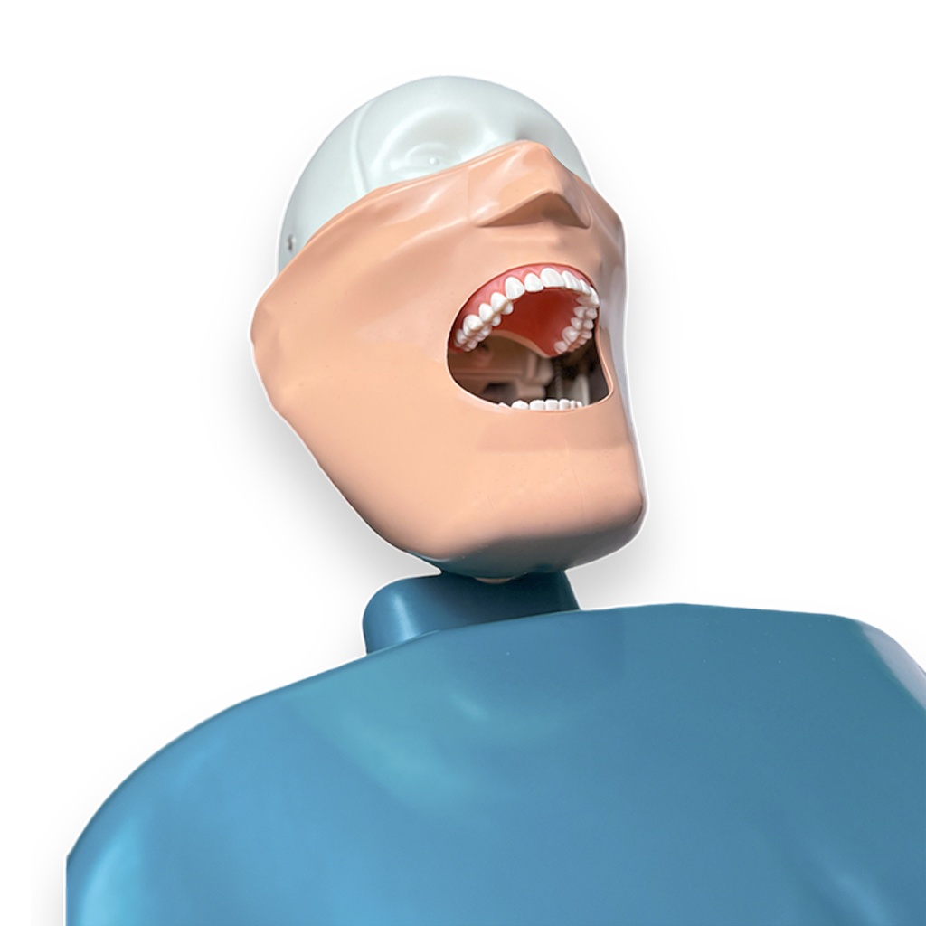 Simulador para cuidados dentales / estación de trabajo