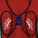 Chaleco para entrenamiento maniobra Heimlich en adultos