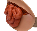 Simulador de laceración abdominal con viceras expuestas para sobreponer
