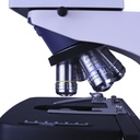 VIRTUE-INF-PL-3_5.jpg
