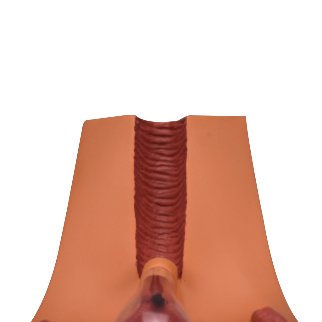 diu6.jpg