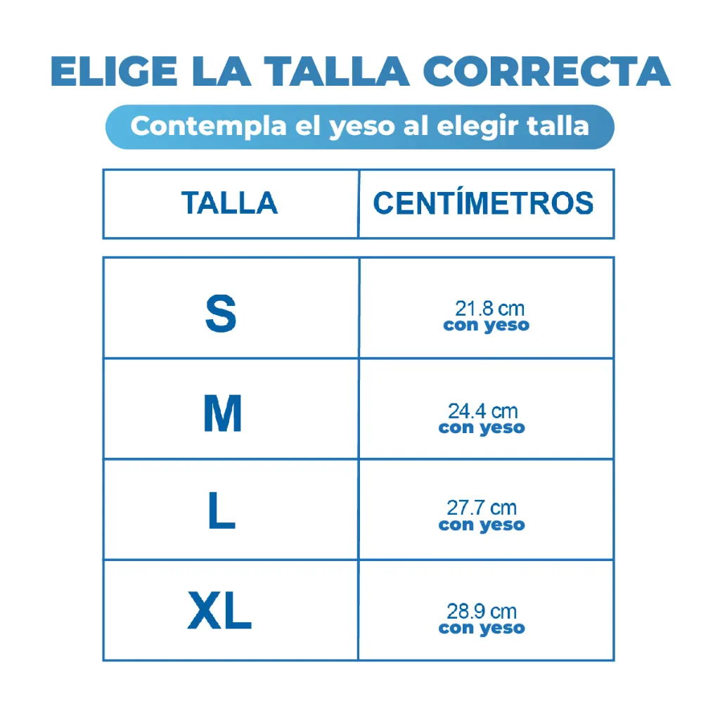 AX_Mesa de trabajo 1 copia 2.webp