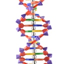 ADN 40.2jpg.jpg