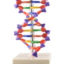 ADN 40.3jpg.jpg