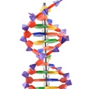 ADN 40.1jpg (1).jpg