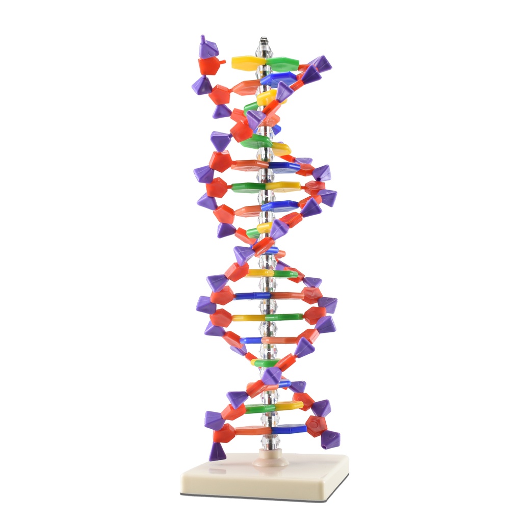 ADN 40.3.jpg