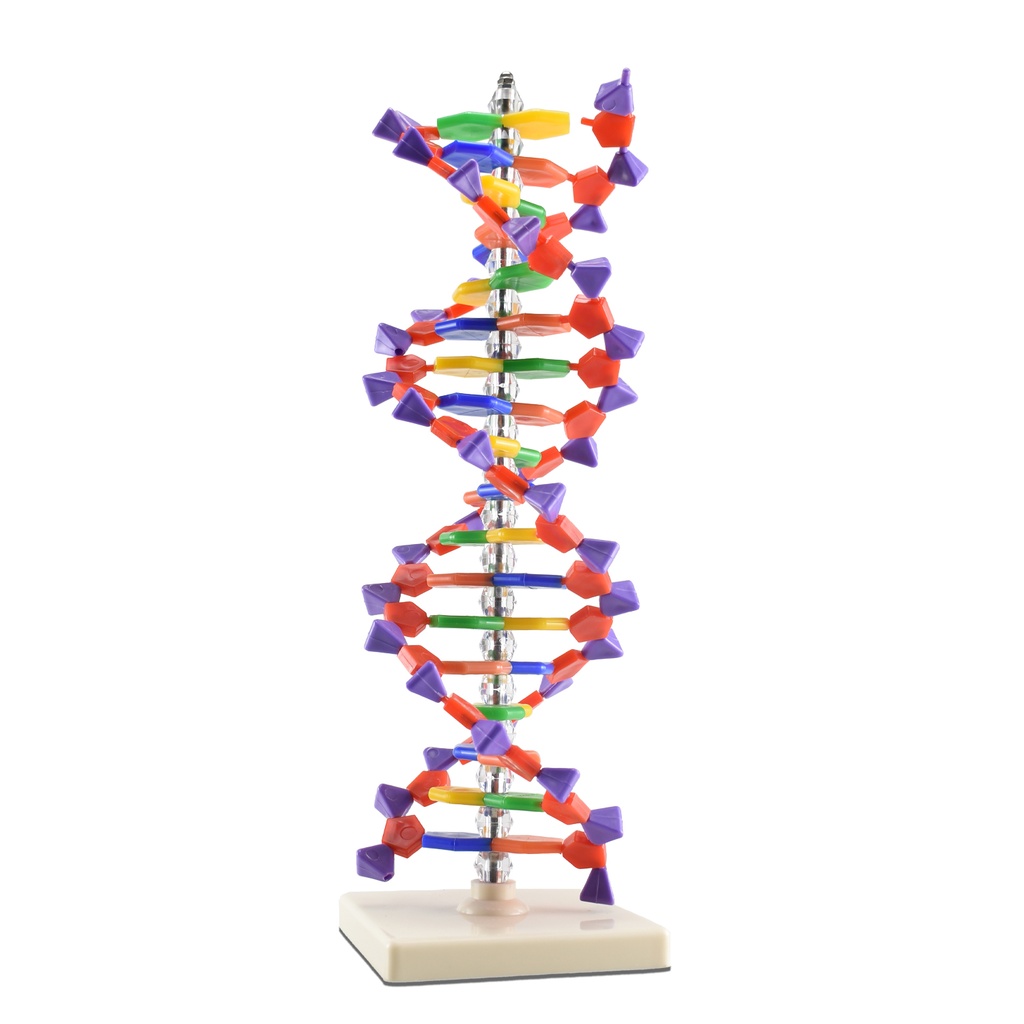 ADN 40.2.jpg