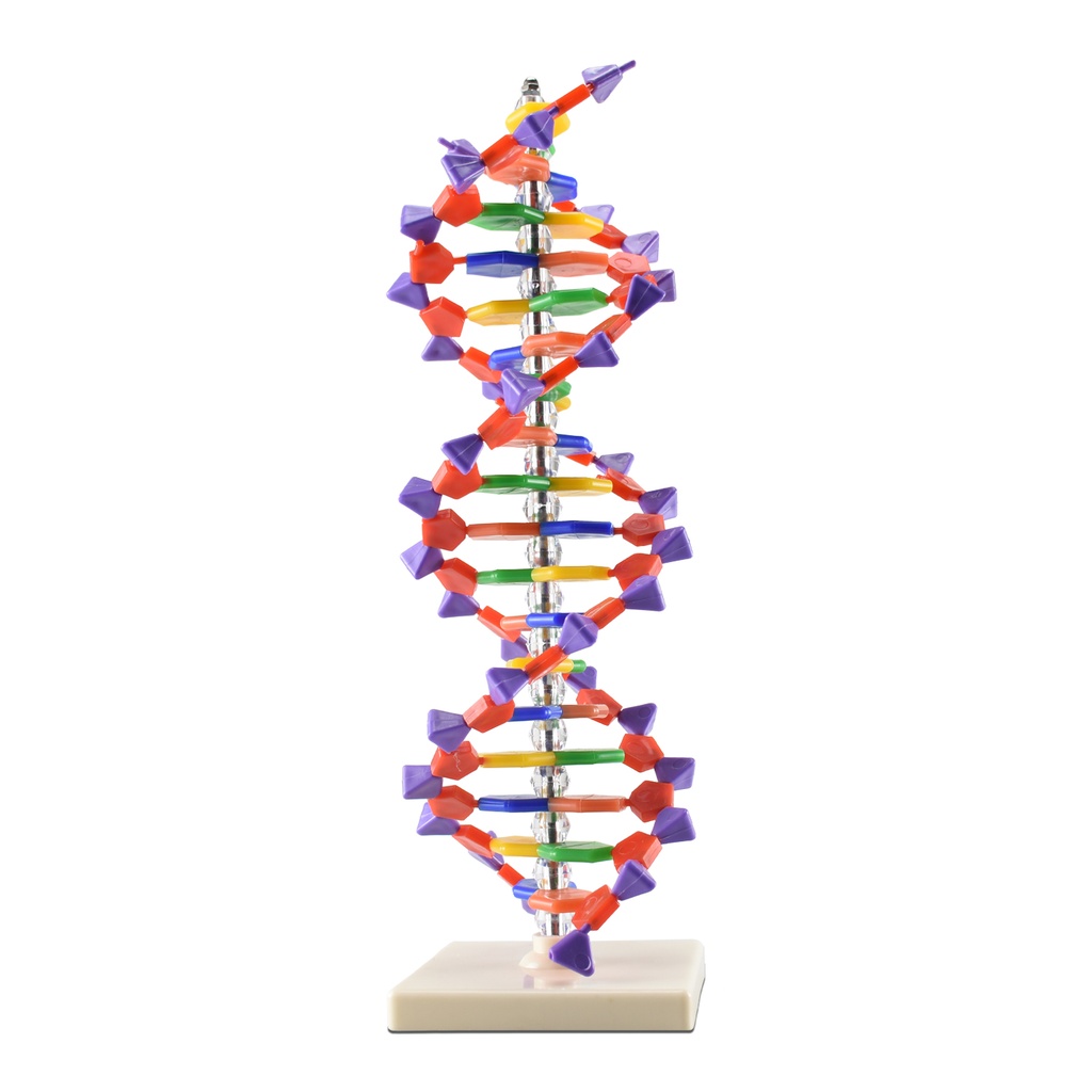 ADN 40.1jpg.jpg