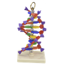 Estructura de ADN