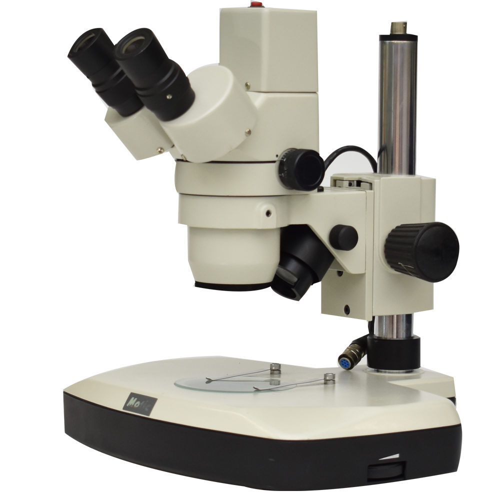 MICROSCOPIO BINOCULAR ESTEREOSCÓPICO CON ZOOM DIGITAL