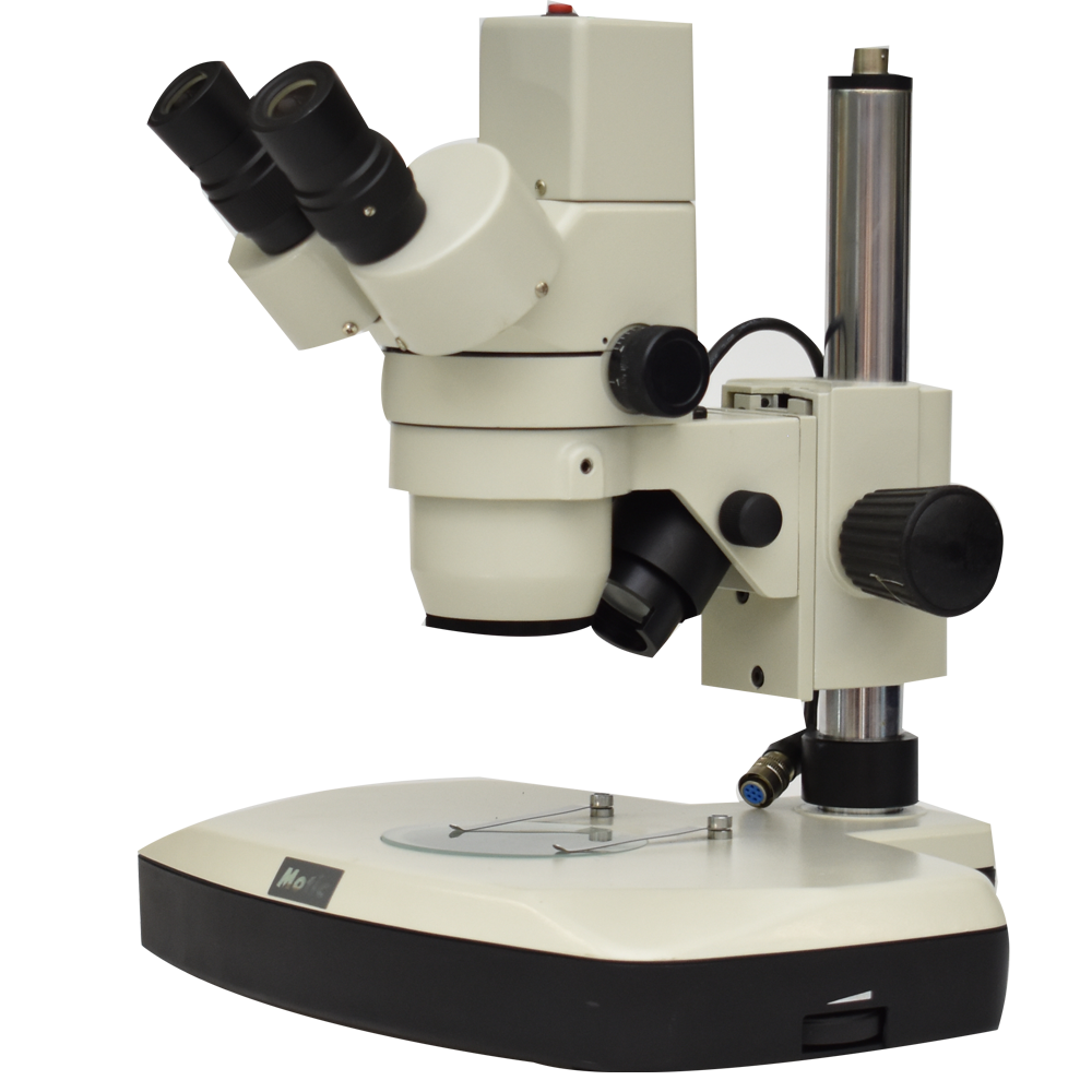 Microscopio binocular estereoscópico con zoom.