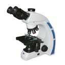 Microscopio biológico trinocular
