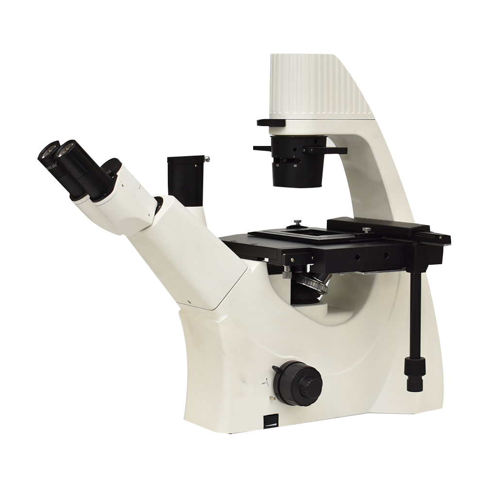 Microscopio biológico trinocular invertido