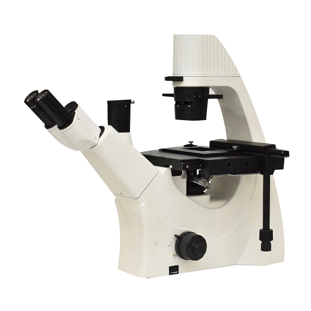 Microscopio biologico invertido triocular