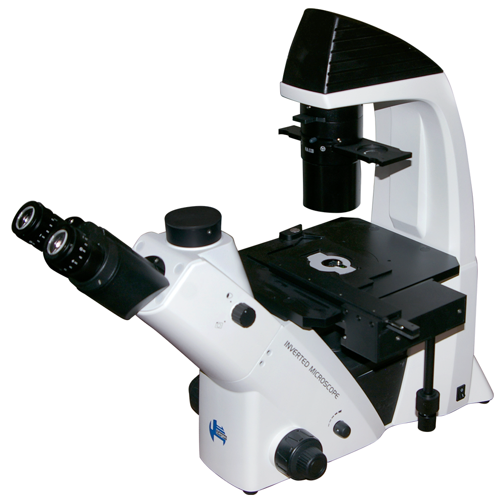 Microscopio biológico trinocular invertido