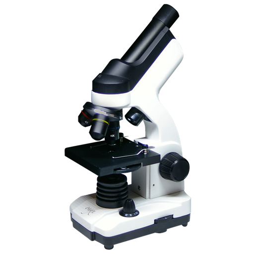 Microscopio biológico monocular con cámara digital