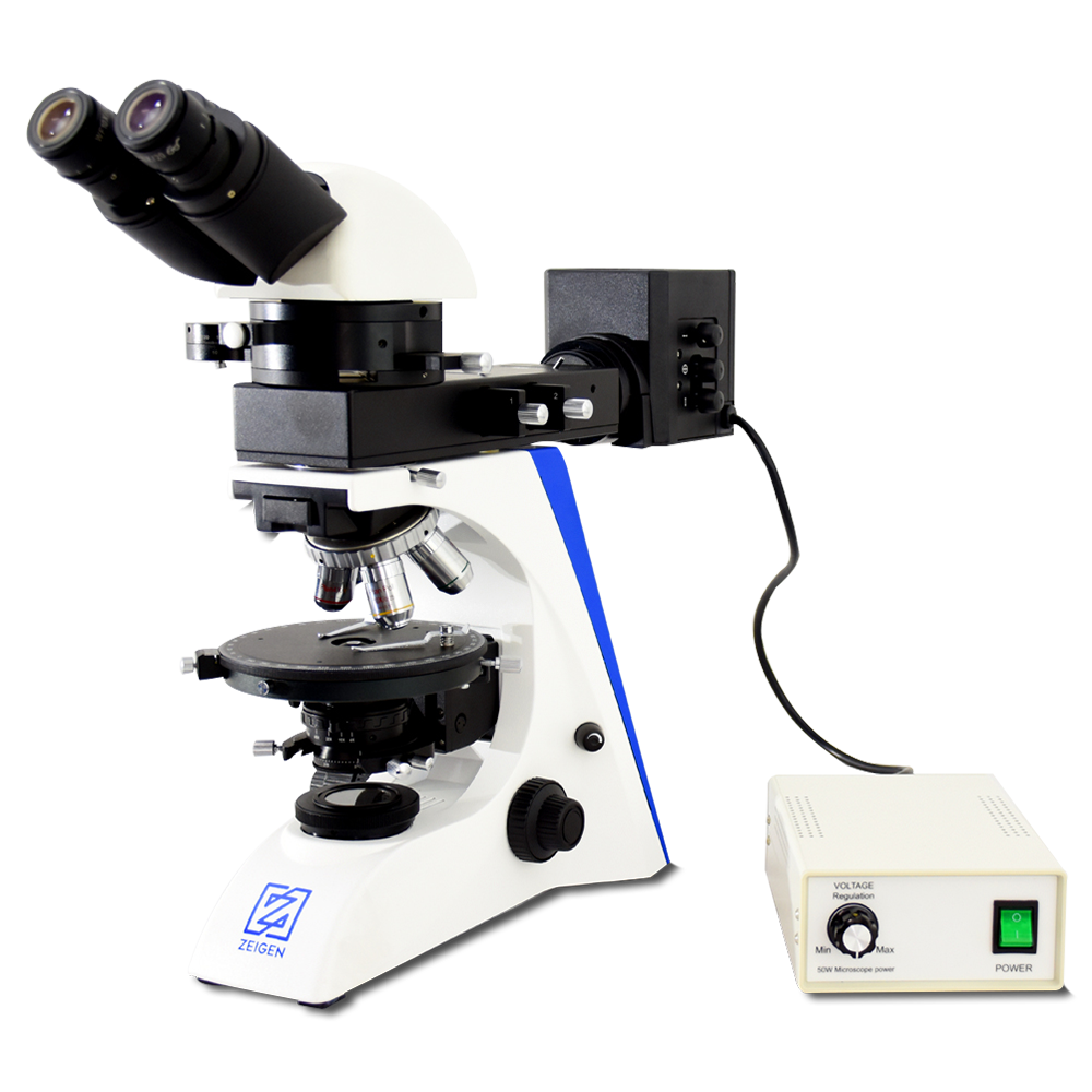 Microscopio petrografico binocular