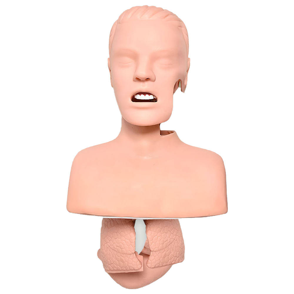 Simulador avanzado para entrenamiento de intubación de las vías aéreas