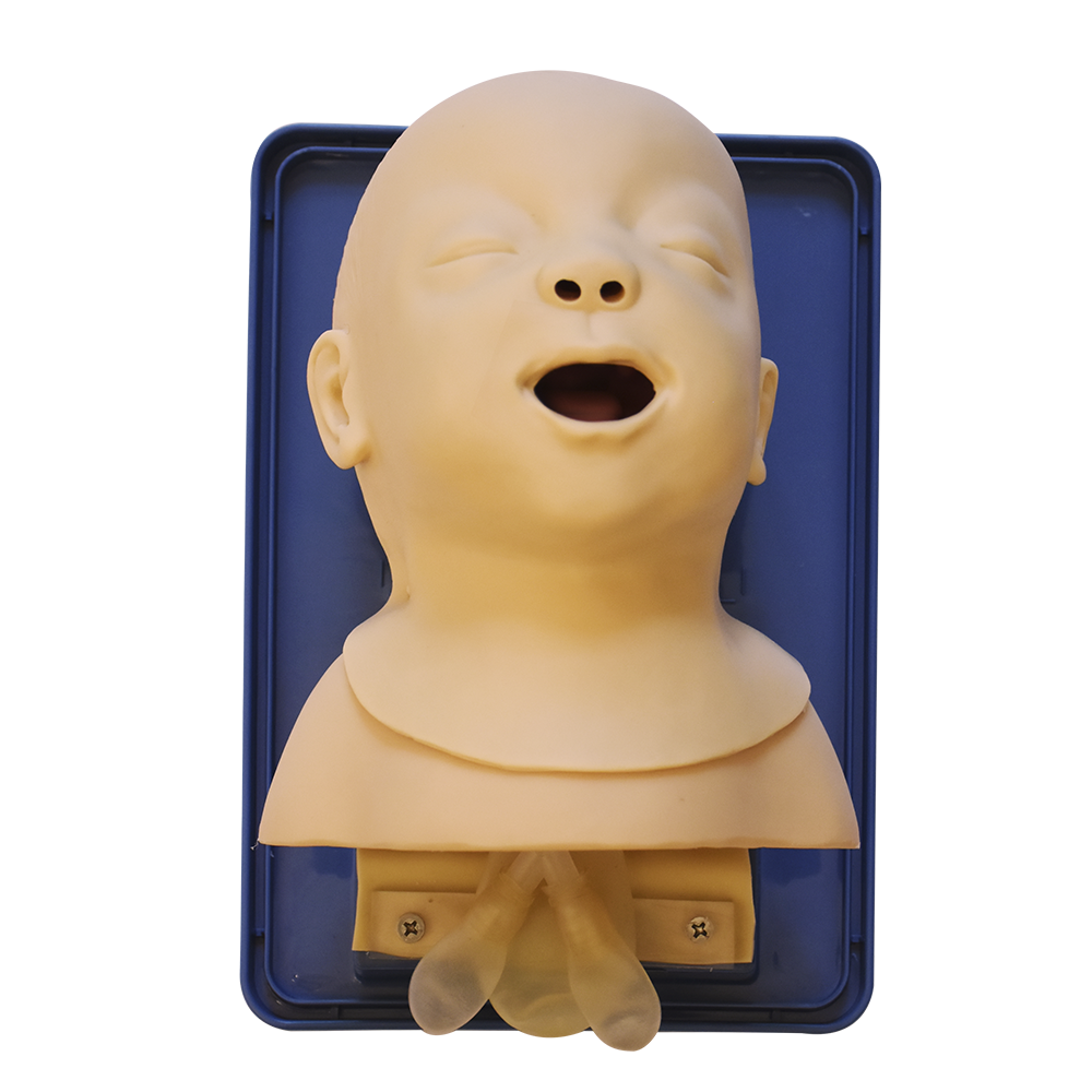 Modelo simulador para el manejo de vias aéreas en infantes.