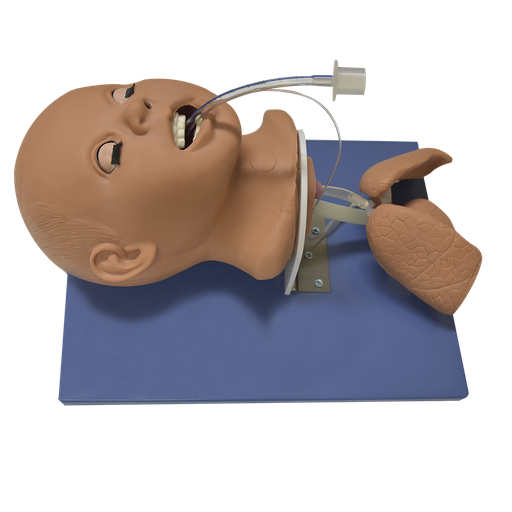 Modelo de intubación traqueal en infantes.
