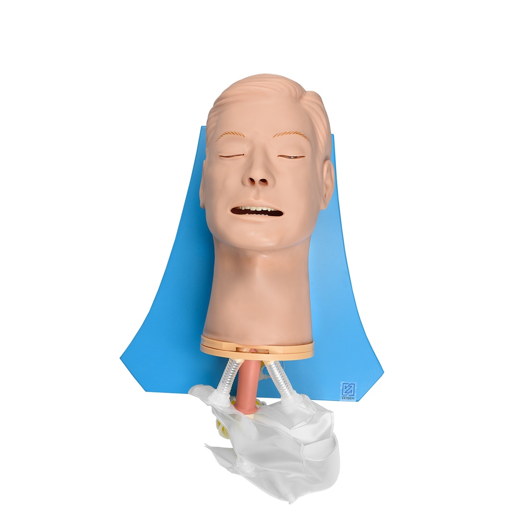 Simulador multifuncional de vías aéreas de adulto