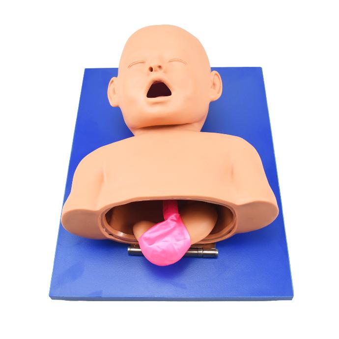 Modelo para el entrenamiento de intubación neonatal