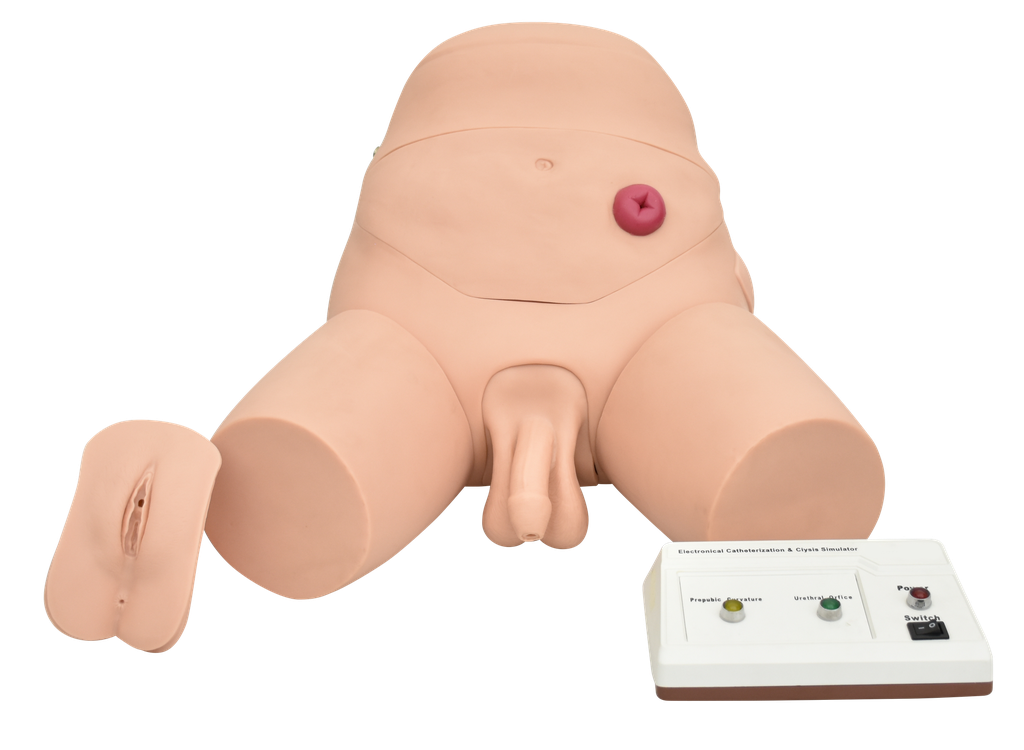Simulador electrónico para entrenamiento de cateterismo y enema bisexual