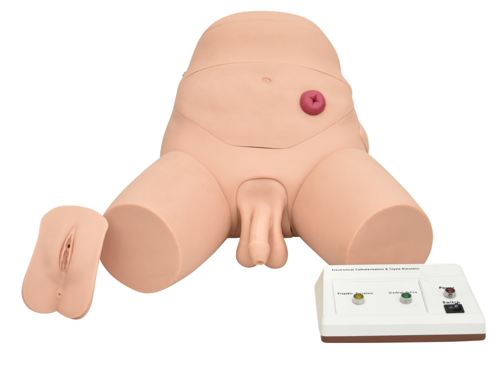 Simulador electronico para entrenamiento de cateterismo y enema, bisexual