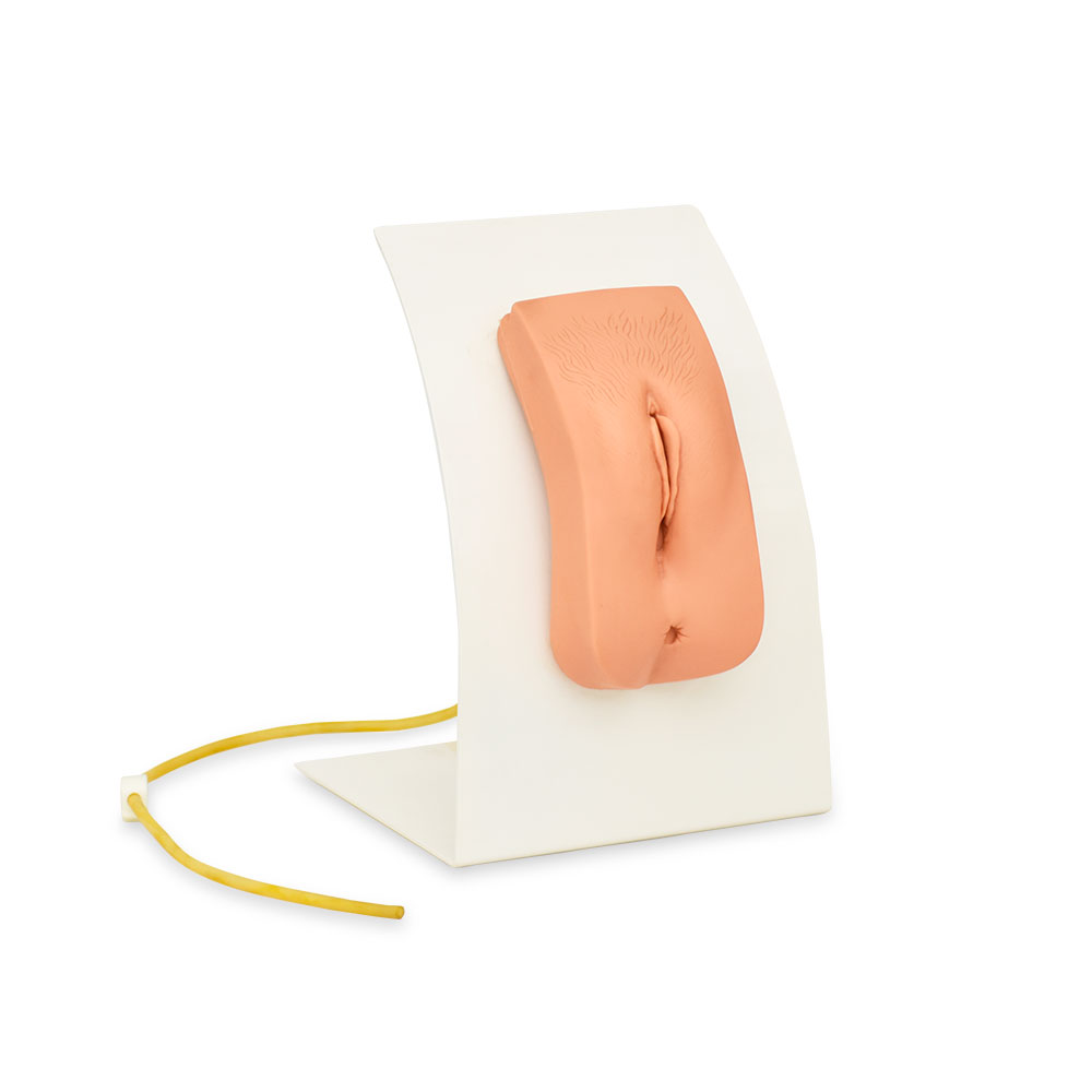 Simulador de sondaje uretral femenino