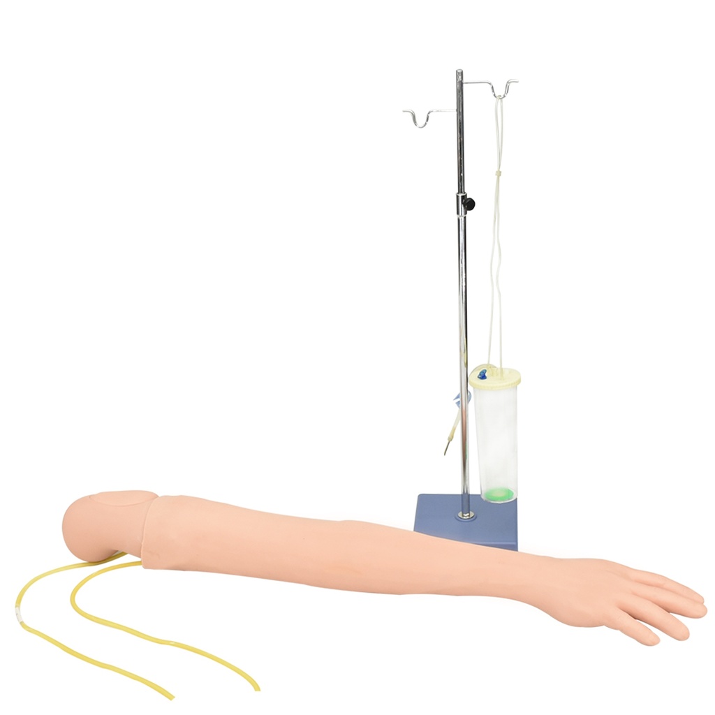 Brazo de entrenamiento para inyección intravenosa y deltoides