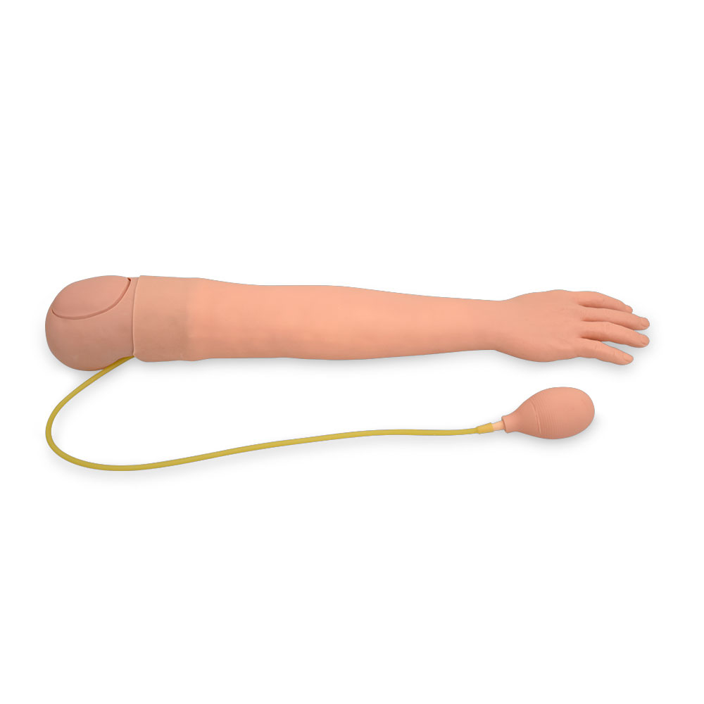 Simulador de brazo de adulto para inyección arterial