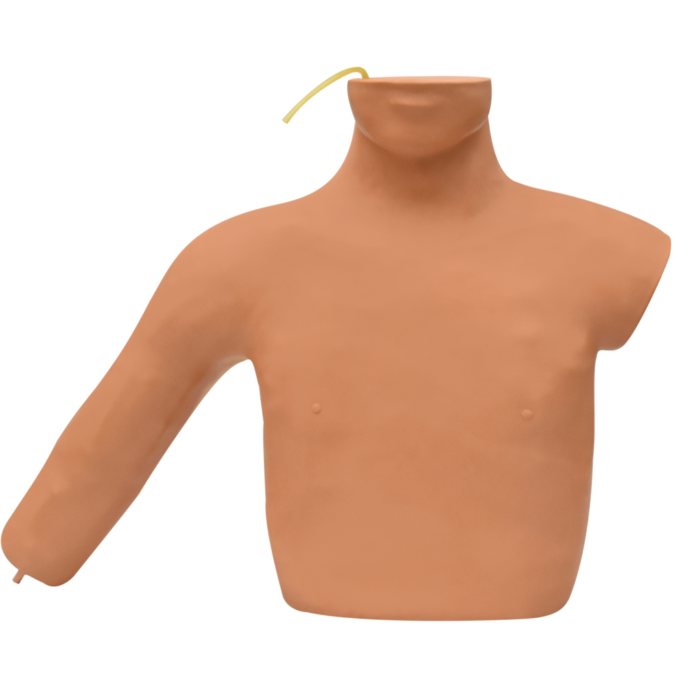 Simulador de venipuntura central de la vena carótida interna y la vena subclavia.