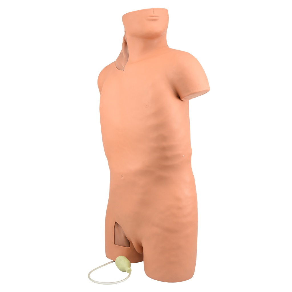 Simulador de inyección intramuscular y caterización venosa central