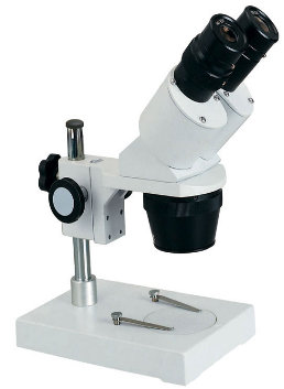 Microscopio estéreo básico