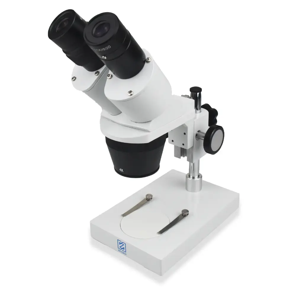Microscopio estereo
