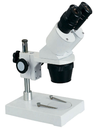 Microscopio estéreo