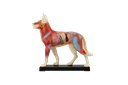 Modelo de perro para acupuntura